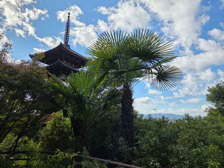 披露宴会場のテラスから見える景色です。インスタ映えバッチリでゲストにも見せたいとは思いました