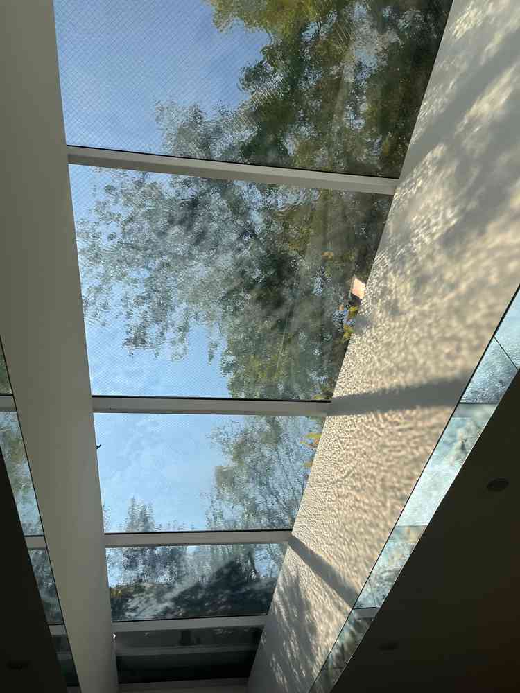 ユーザーが投稿した画像3