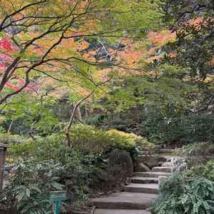 チャペルまでの道のりは庭園を通れるそう。季節を感じられて素敵でした。