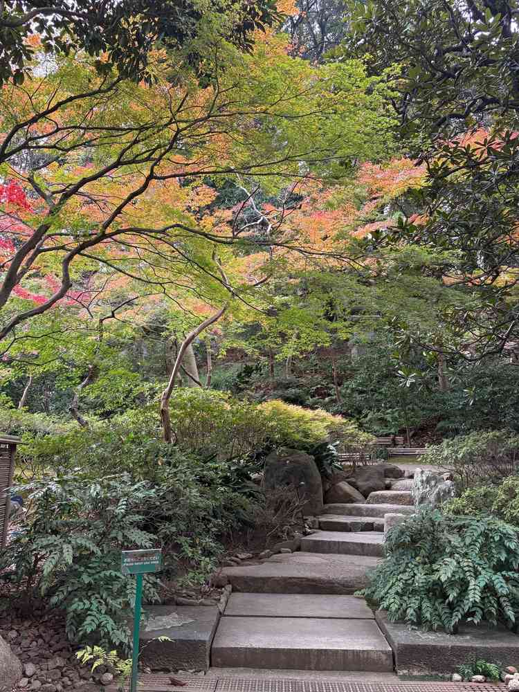 チャペルまでの道のりは庭園を通れるそう。季節を感じられて素敵でした。