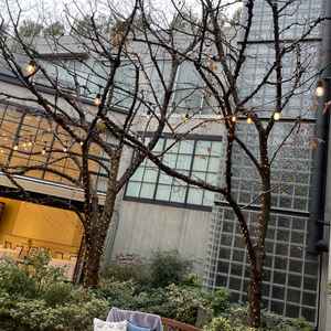 屋内屋外どちらも使える披露宴会場の外には桜の木があり、春は桜満開の中披露宴を行えるそう