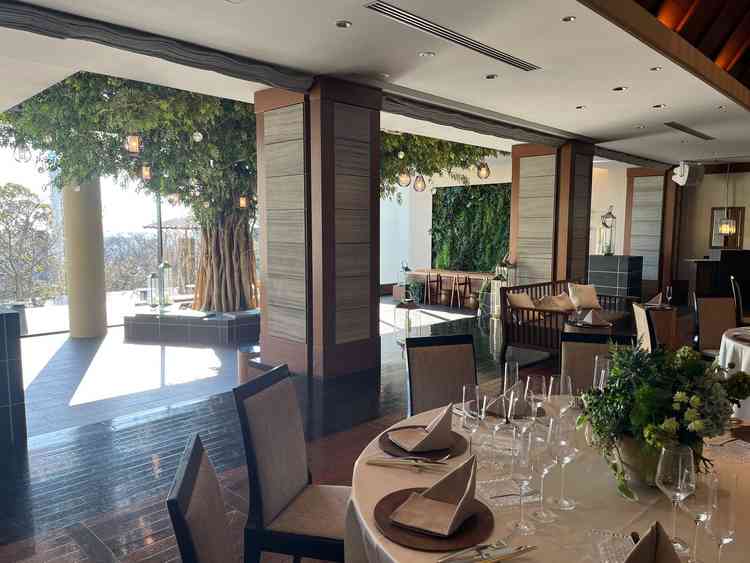 披露宴会場。木の幹は本物の木を使っているそうです。