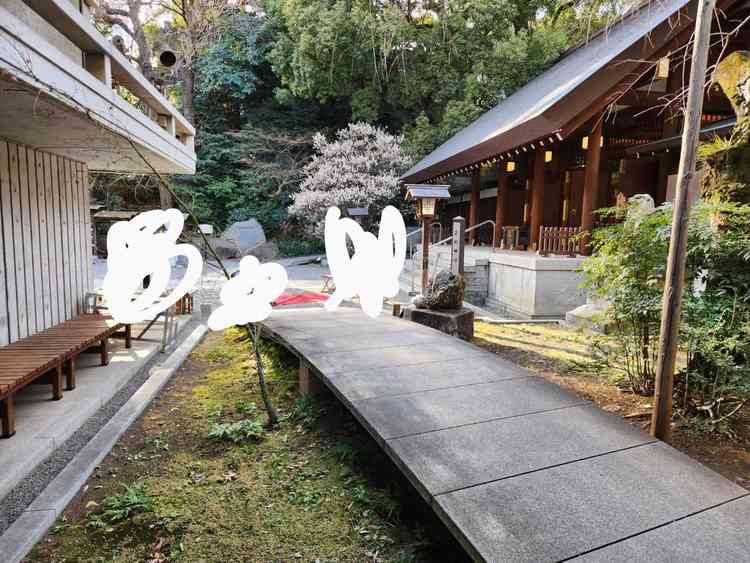 ユーザーが投稿した画像5