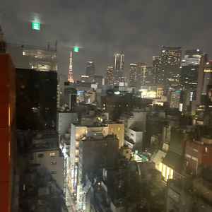 窓から東京タワーが見えました。すごく幻想的でした。