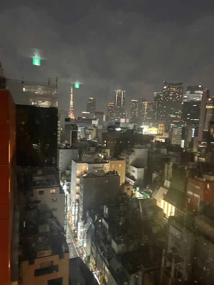 窓から東京タワーが見えました。すごく幻想的でした。