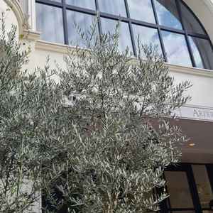 正面玄関もシンプルで素敵でした。撮影フォトも見せてもらいましたが海外のような雰囲気でした。