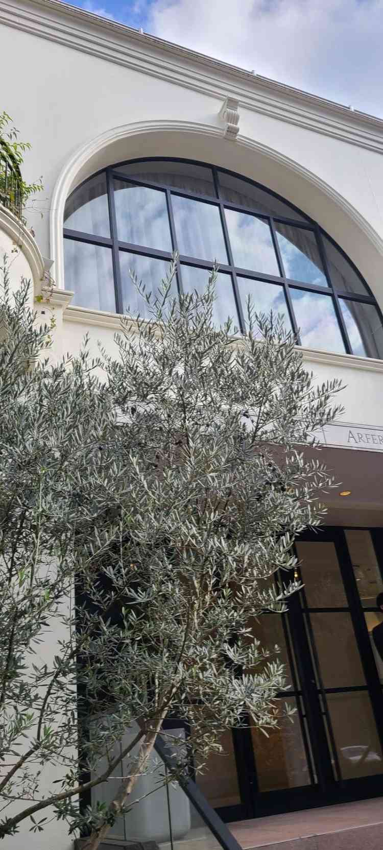 正面玄関もシンプルで素敵でした。撮影フォトも見せてもらいましたが海外のような雰囲気でした。