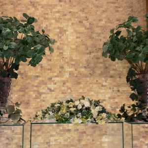 背景がこの色の為ウェディングドレスが映えるらしいです