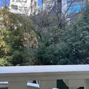 待合室から見えるグリーン✨