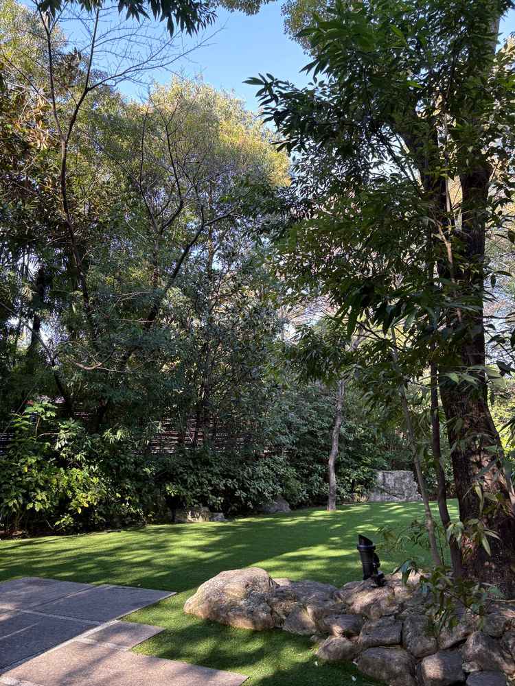 一階の披露宴会場から外に出た風景。木漏れ日が差し込むガーデン。