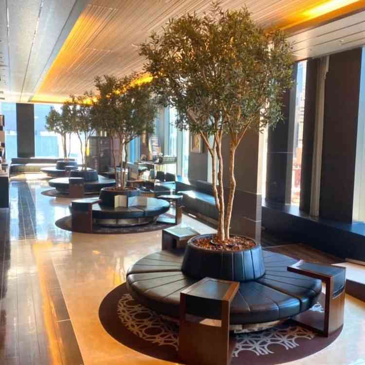 開放的なラウンジスペース