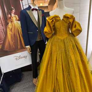 ディズニーのドレスも豊富で特に美女と野獣のドレスに惹かれて着てみたいと思いました！