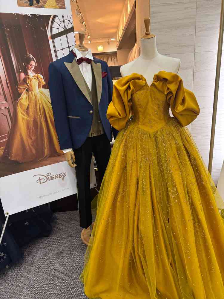 ディズニーのドレスも豊富で特に美女と野獣のドレスに惹かれて着てみたいと思いました！