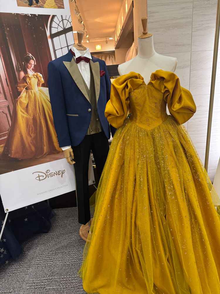 ディズニーのドレスも豊富で特に美女と野獣のドレスに惹かれて着てみたいと思いました！