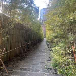 外の通路。春になると竹の量も増えると聞きました。