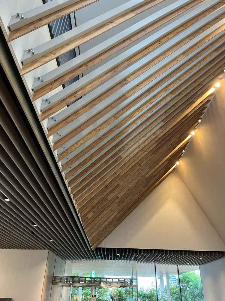 まず入口を入ると、綺麗な木目の建築美が広がっていました。入り口の緑がとても映え、空間が広く感じます。