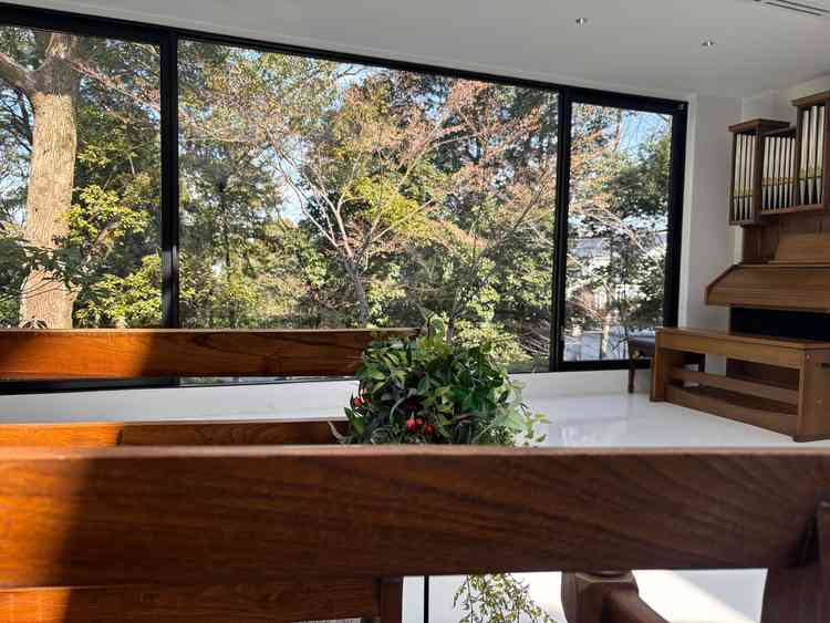 挙式会場の写真です。椅子に座った時に、木などの景色が見えた。