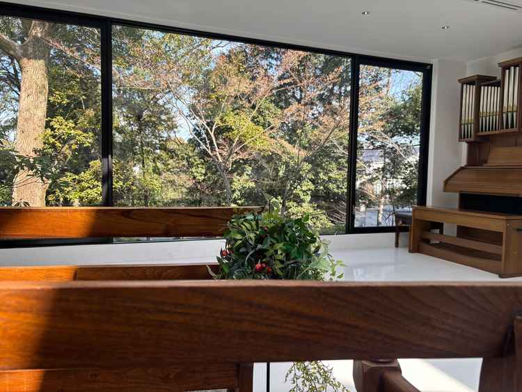 挙式会場の写真です。椅子に座った時に、木などの景色が見えた。