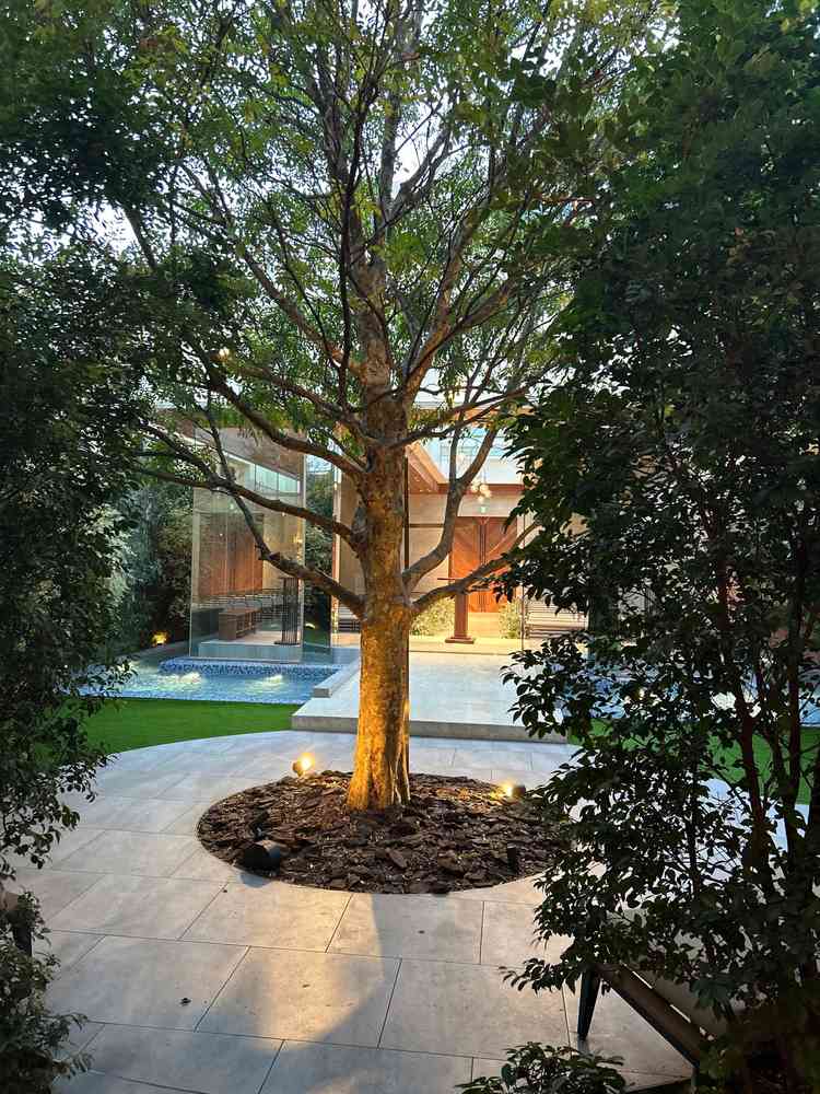 ガーデンの写真です。