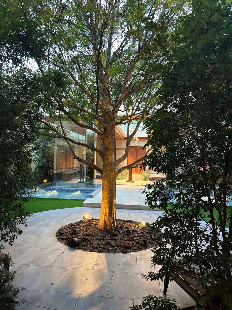 ガーデンの写真です。