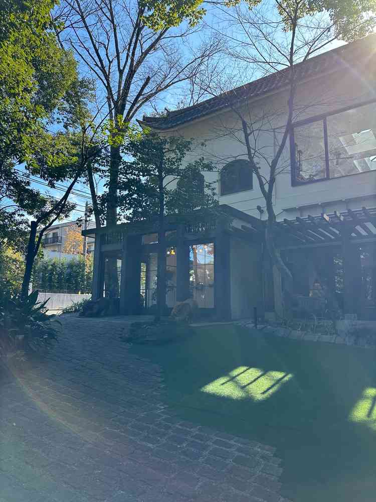 ユーザーが投稿した画像4