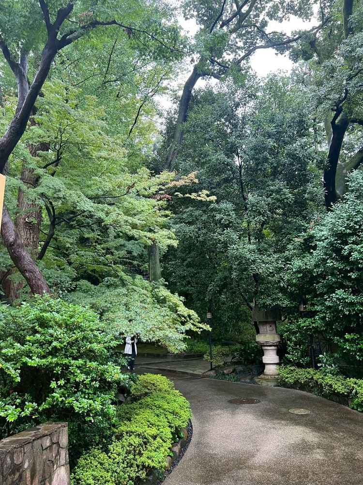 ホテル内の庭園。天気が良ければ気持ちが良さそう！