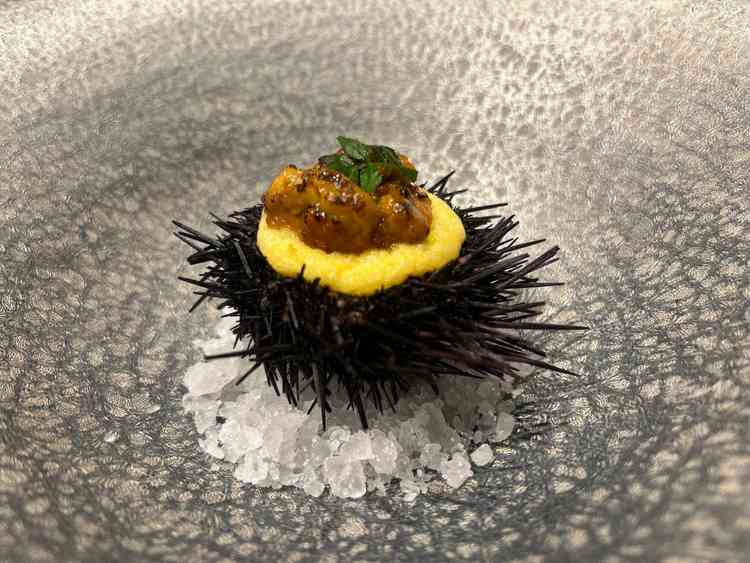 試食のウニとカニのグラタン