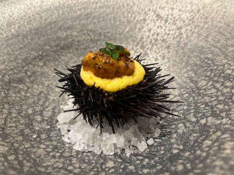 試食のウニとカニのグラタン