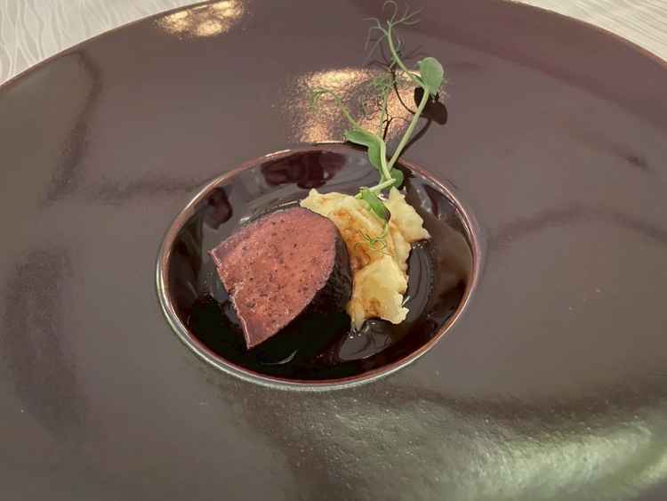 ビーフシチュー