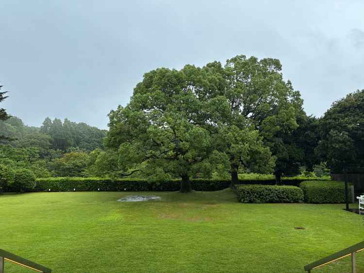 披露宴会場から庭に出られて人工物が見えなく自然に囲まれて最高でした。