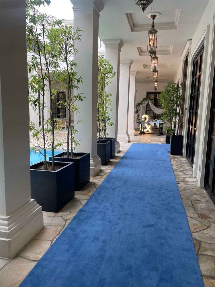 外から入ってすぐの景色！幻想的で広々とした空間が広がっていました。