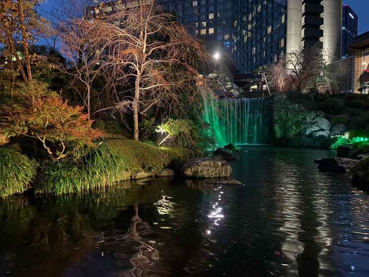 日本庭園内にある大きな滝。提案内には他にも橋などのフォトスポットがあり、圧巻の美しさでした。