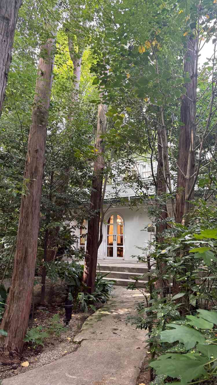 緑に囲まれた外観がとても印象的で、まるで森の中にある邸宅のようでした。