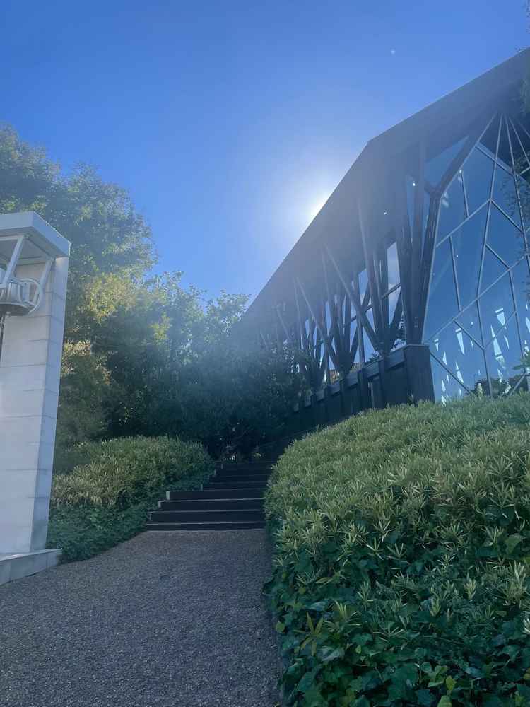 森のチャペルから出たところ。ここでフラワーシャーがある。雨が降ったら悲しいが晴れたらサイコー！！