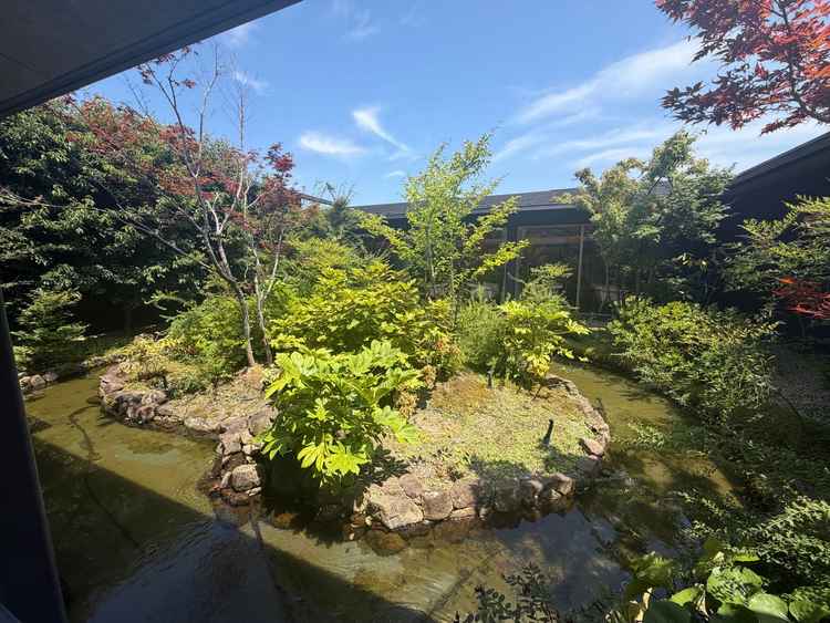 緑が素敵な中庭でした。