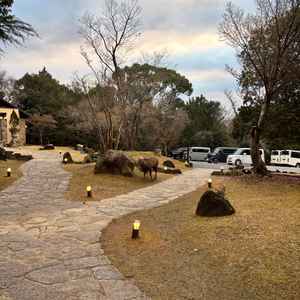 チャペルへ向かう途中で鹿が遊びに来ていました。