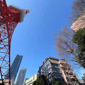 ユーザーが投稿した画像2をもっと見る