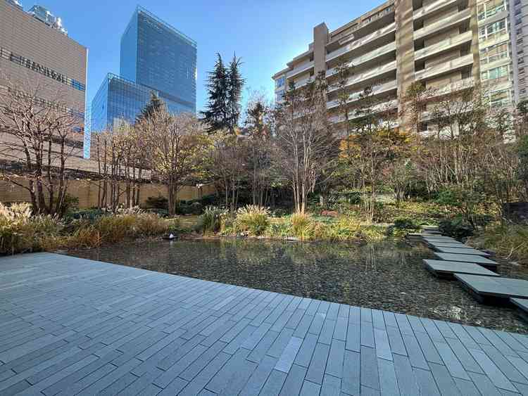 外のテラスは開放的で水面と植物が綺麗。