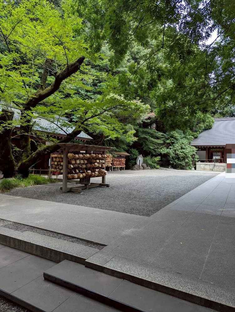 一際目を引く境内の大木は、青々とした自然を感じさせてくれた。