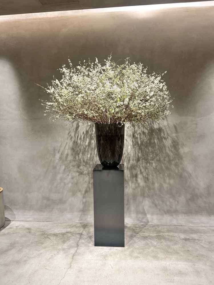 チャペルのど真ん中にある植栽。周りはグレーを基調とした石でできていて、シンプルな空間。