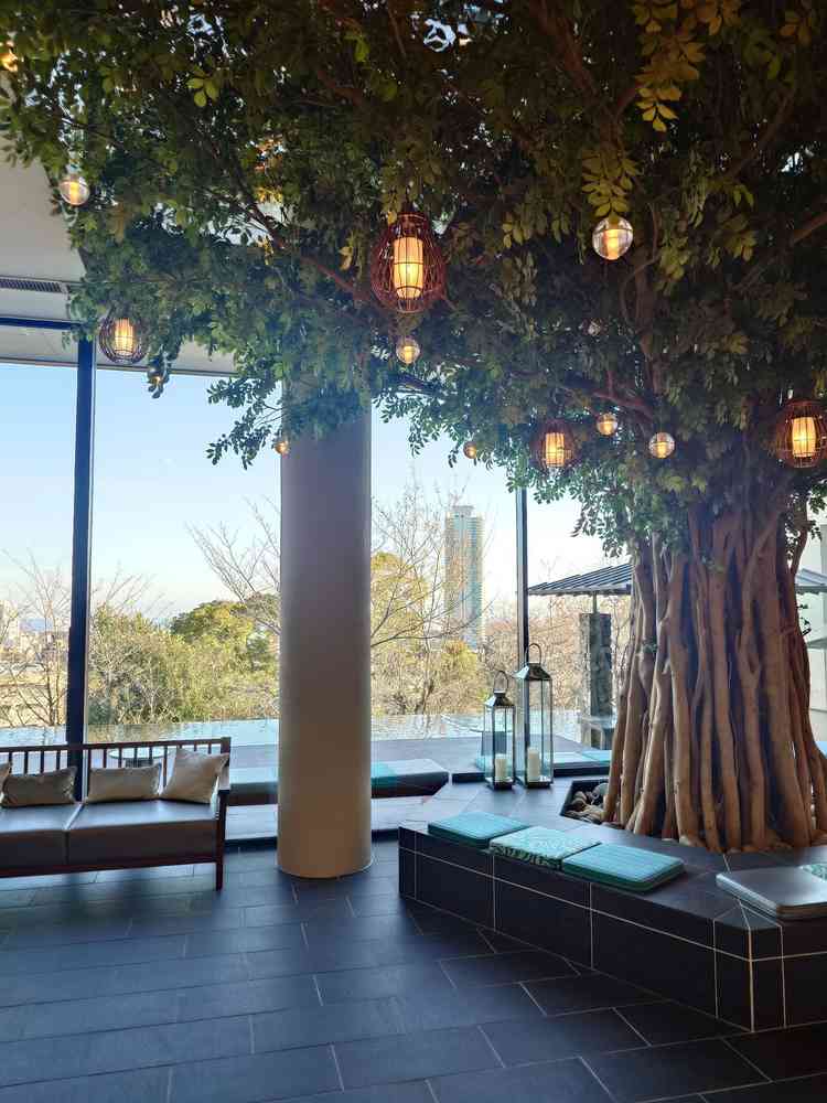 披露宴会場からの眺め