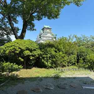 綺麗な大阪城を眺めると落ち着きます