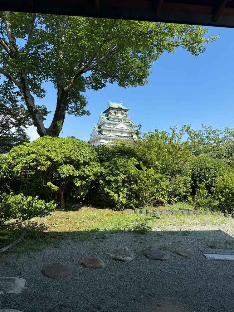 綺麗な大阪城を眺めると落ち着きます