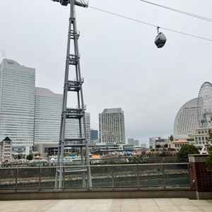 ユーザーが投稿した画像4