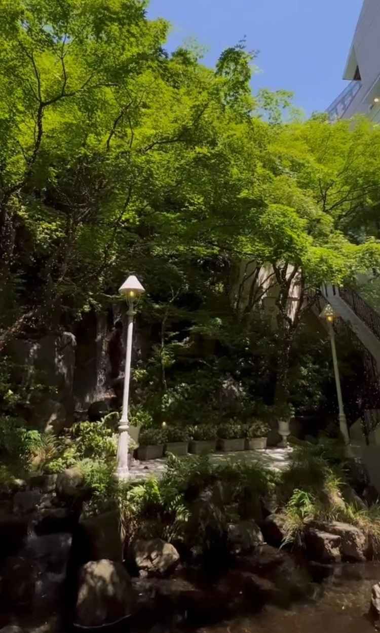 庭の自然感が新宿に居るとは思えないくらい素敵だった。