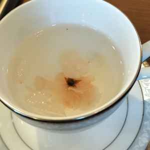 サービスで桜茶をいただきました