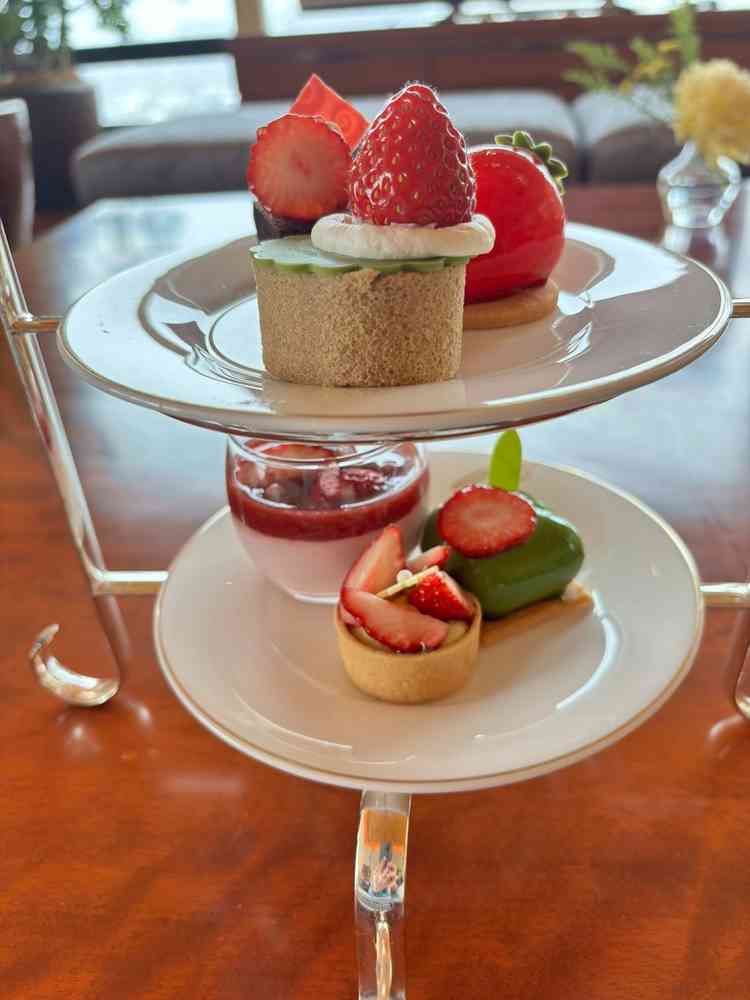 【試食のスイーツ🍰】いちごのスイーツはどれも格別で、視覚も味覚も魅了されました、結婚式でも食べたい