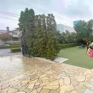 道路に近いので、道路側からでも迫力がありました。