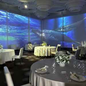 2つあるうちの1つの披露宴会場です。プロジェクターで様々な演出ができるようです。