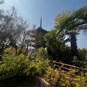 披露宴会場の中庭からの景色